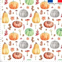 Citrouille et potiron - Fond blanc