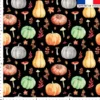 Citrouille et potiron - Fond noir