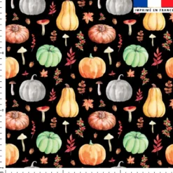 Citrouille et potiron - Fond noir