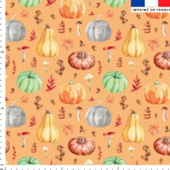 Citrouille et potiron - Fond orange clair