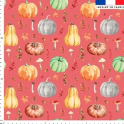 Citrouille et potiron - Fond rose corail