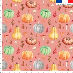 Citrouille et potiron - Fond rose saumon