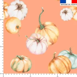 Citrouille - Fond orange clair