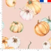 Citrouille - Fond rose clair