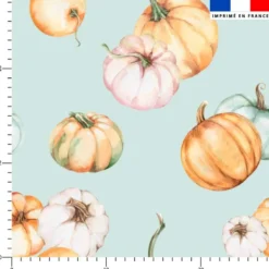Citrouille - Fond vert d'eau