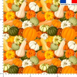 Citrouilles multicolores - Fond vert de gris