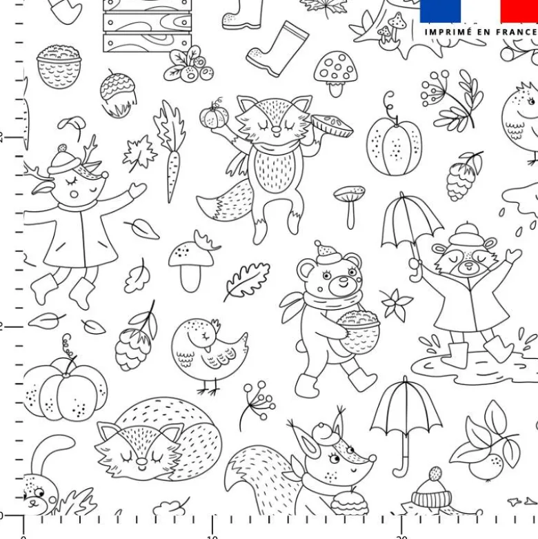 Coton à colorier motif animaux des bois