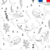 Coton à colorier motif baleine