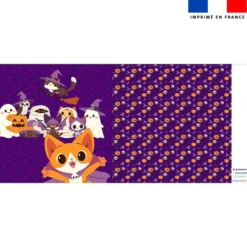 Coupon oreiller imprimé animaux Halloween