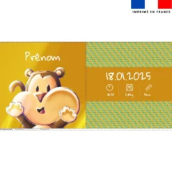 Coupon pour coussin de naissance personnalisé - Singe Lou-Stick - Création Stillistic