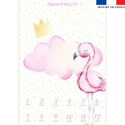 Coupon pour couverture mensuelle bébé motif sweet flamant rose