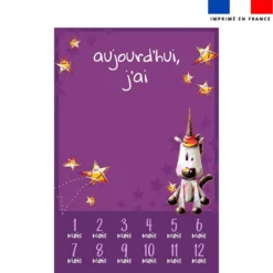 Coupon pour couverture mensuelle motif licorne - Création Stillistic