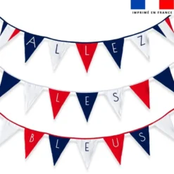 Coupon pour fanions motif Allez les Bleus