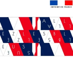 Coupon pour fanions motif Allez les Bleus