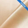 Coupon 50x68cm - Simili cuir dolaro beige nacré