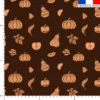 Cucurbitacée ethnique orange - Fond marron