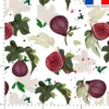 Figue et feuille de figuier - Fond blanc