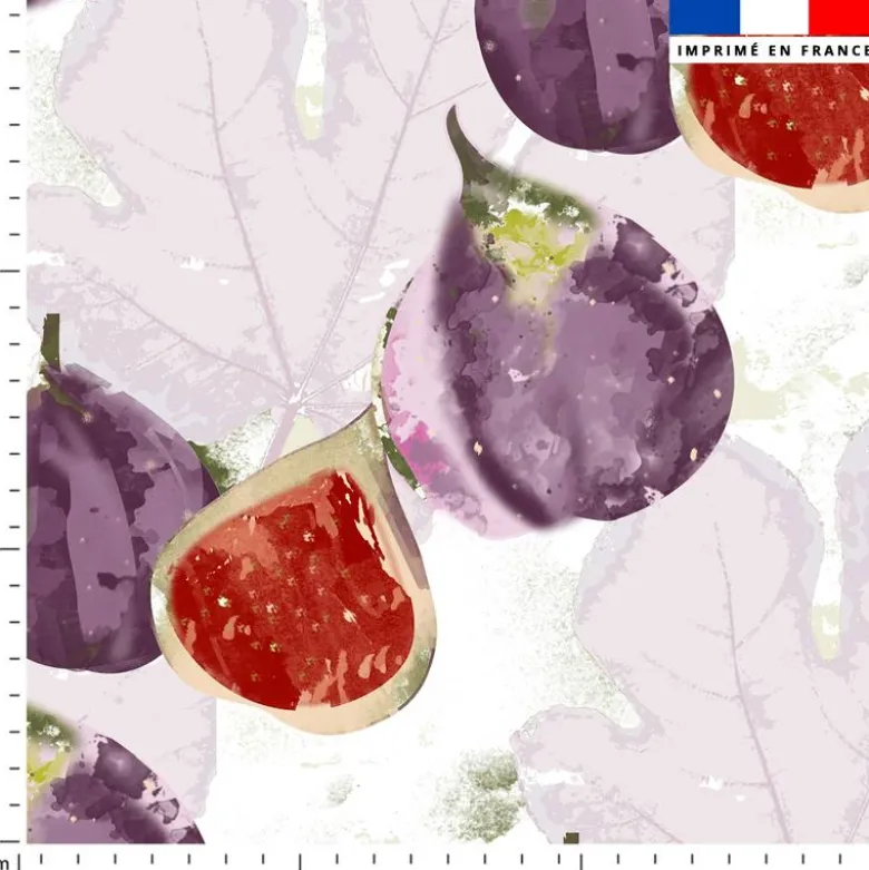 Figues et feuilles - Fond blanc