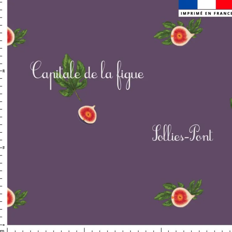 Figues noires - Fond violet