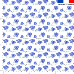 Fleur de pensée bleue - Fond blanc