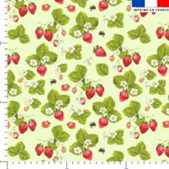 Fraise et bourdon - Fond vert pastel