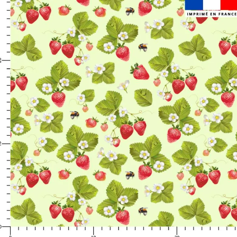 Fraise et bourdon - Fond vert pastel