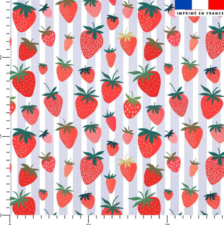 Fraise et fines rayures bleues - Fond blanc