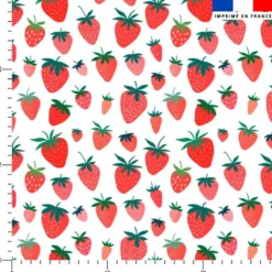 Fraise - Fond blanc