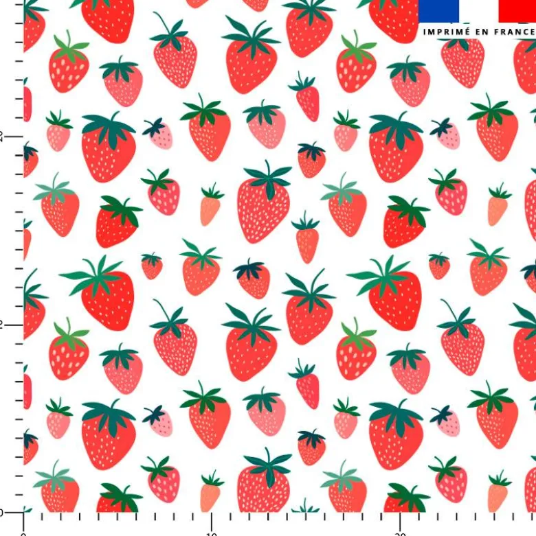 Fraise - Fond blanc