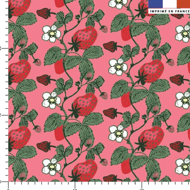 Fraisier en fleurs - Fond rose - Création Andréa Leonelli