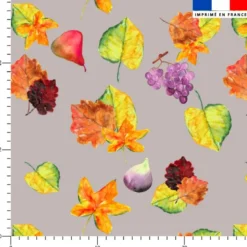 Fruits et feuilles - Fond gris clair - Création Cat&Colours