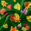 Fruits et feuilles - Fond vert foncé - Création Cat&Colours