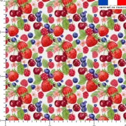 Fruits rouges gourmands - Fond blanc
