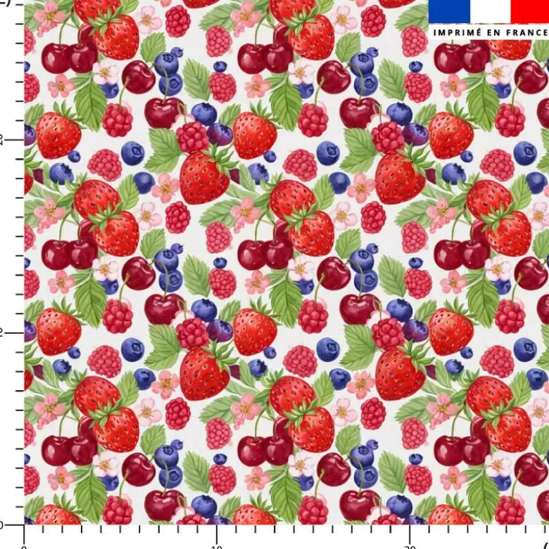 Fruits rouges gourmands - Fond blanc