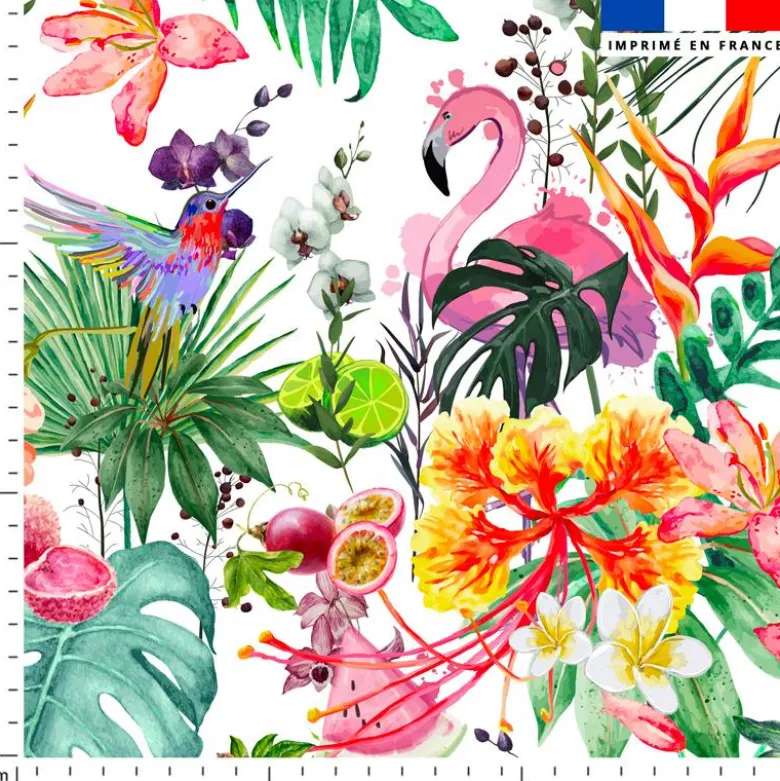 Fruit tropical - Fond blanc