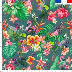 Fruit tropical - Fond bleu canard
