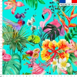 Fruit tropical - Fond bleu turquoise
