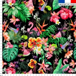 Fruit tropical - Fond noir