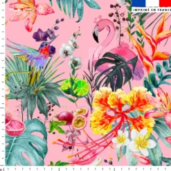 Fruit tropical - Fond rose