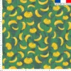 Grappe de bananes - Fond vert mousse