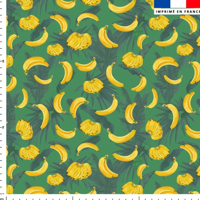 Grappe de bananes - Fond vert mousse