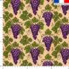 Grappe de raisin et vigne - Fond beige