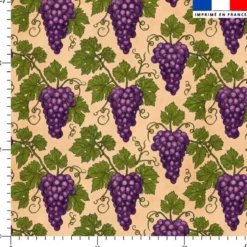 Grappe de raisin et vigne - Fond beige