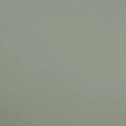 Jersey de coton uni vert sauge