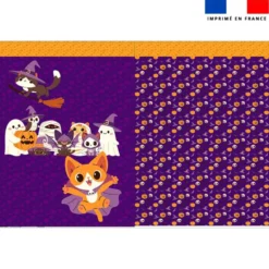 Kit sac à jouets motif animaux Halloween