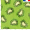Kiwi - Fond vert