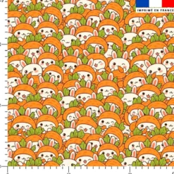 Lapin carotte kawaii - Fond orange