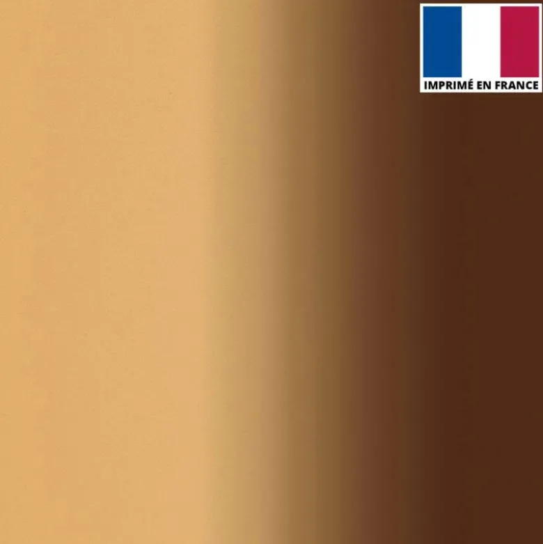 Lycra imprimé dégradé chair et marron