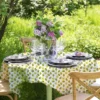 Olives vertes - Fond blanc