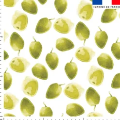 Olives vertes - Fond blanc